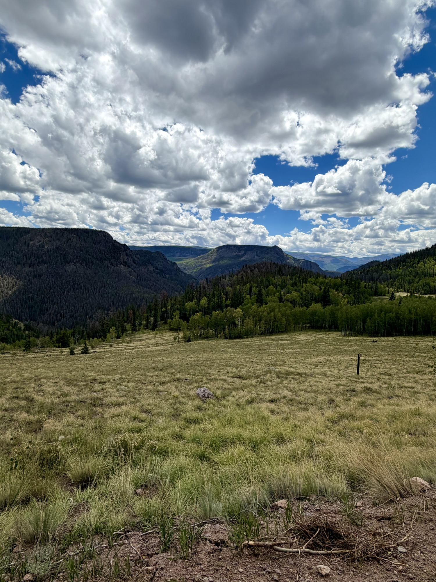 Rio Grande National Forest