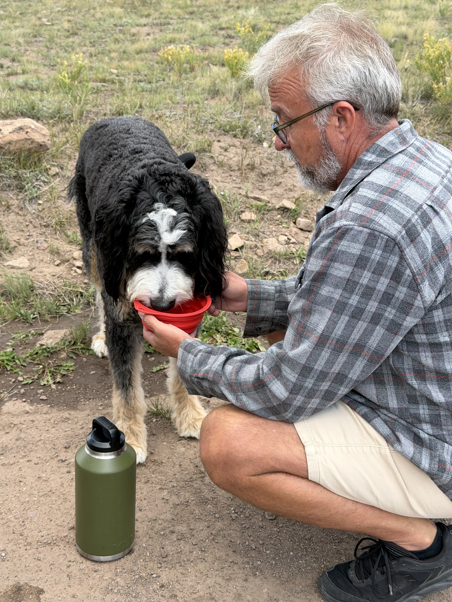 Timber sipping some water