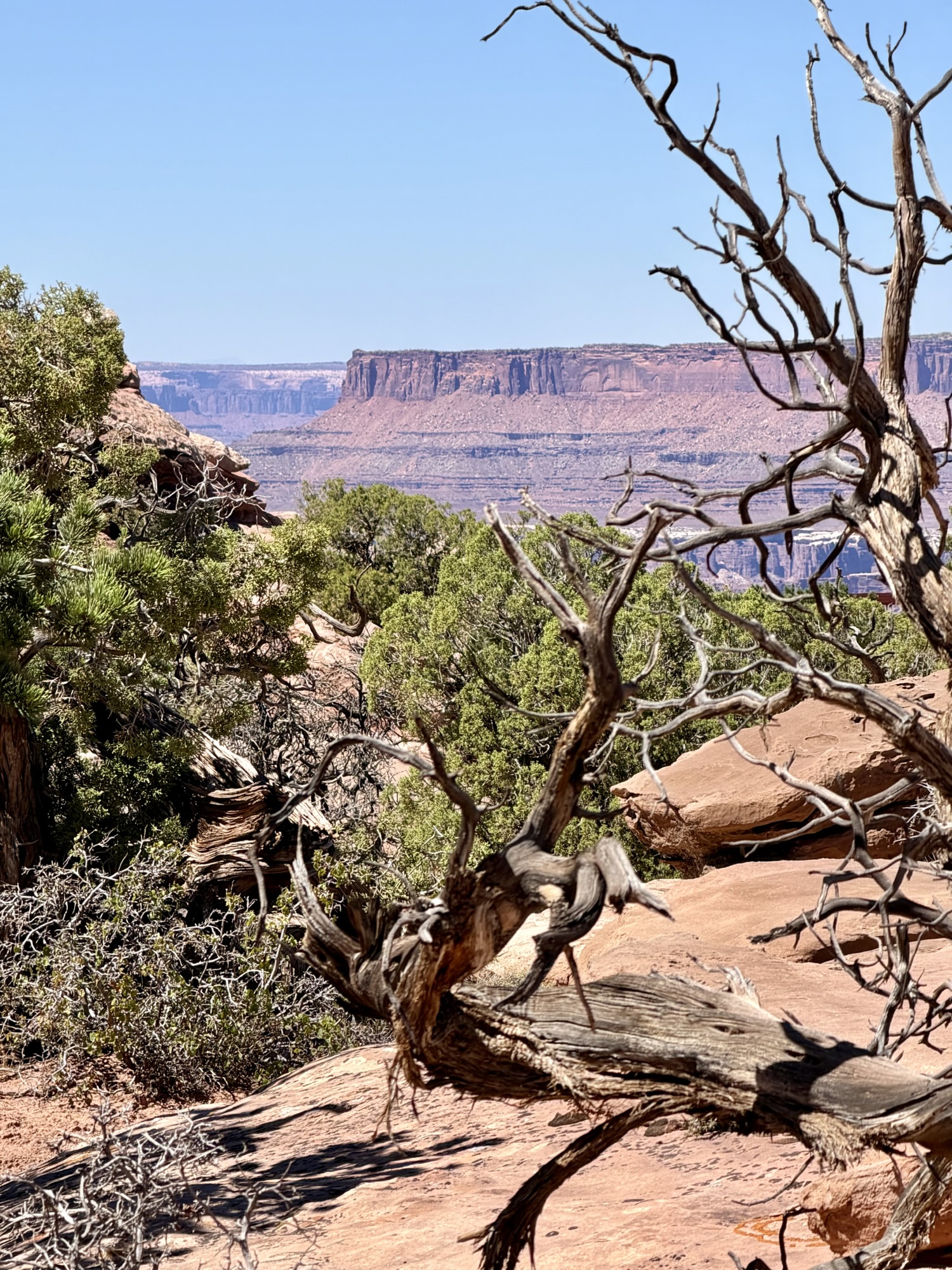 Needles Overlook, S of Moab, UT