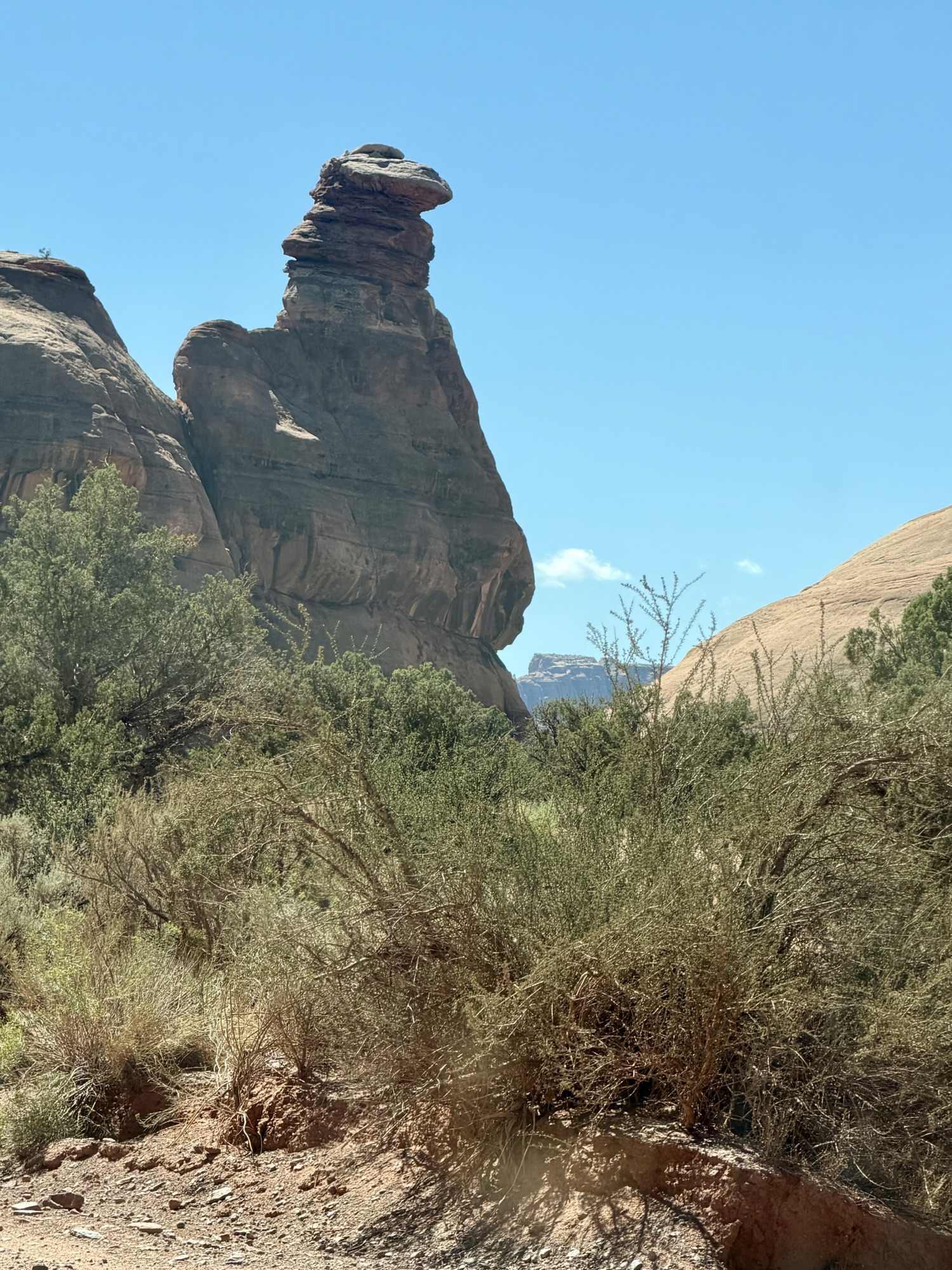 Gooey Bird Rock – Gemini Bridges Trail