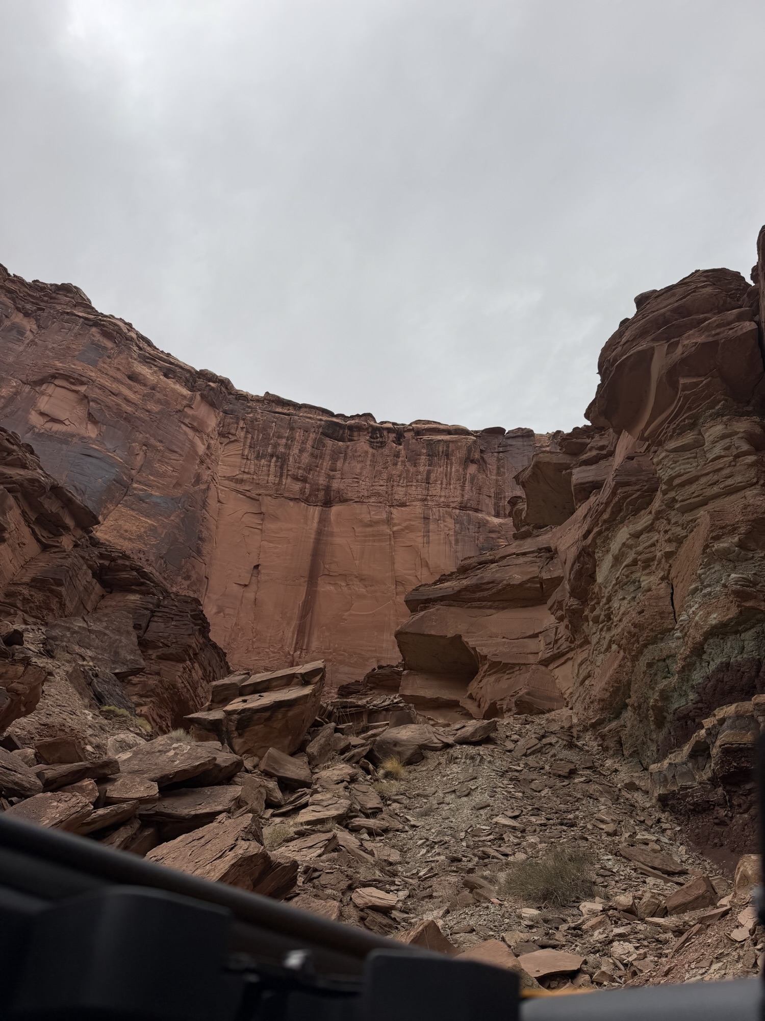 Looking up at the Walls of Spring canyon, Moab, UT