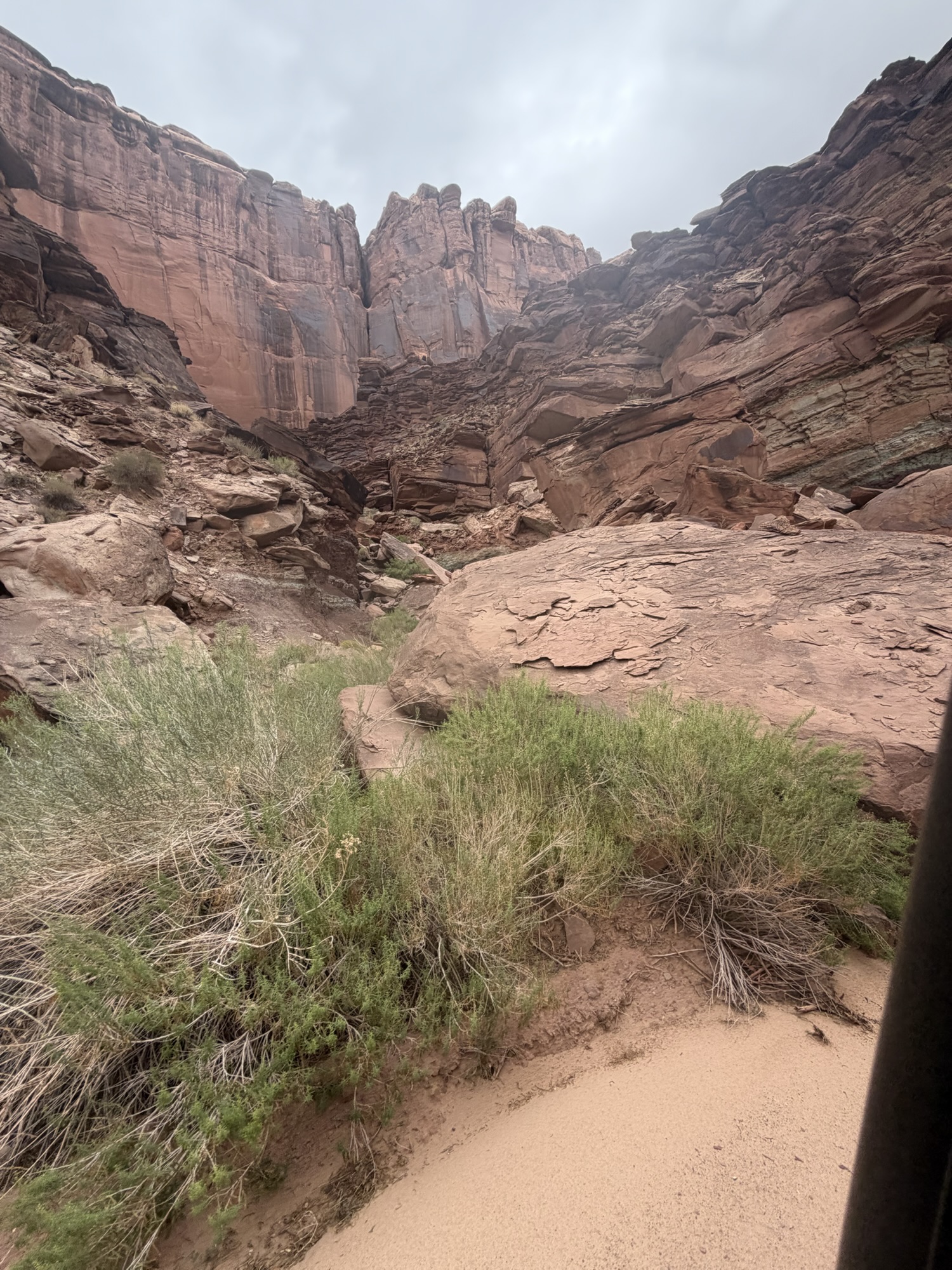Looking up at the walls of Spring Canyon, Moab, UT