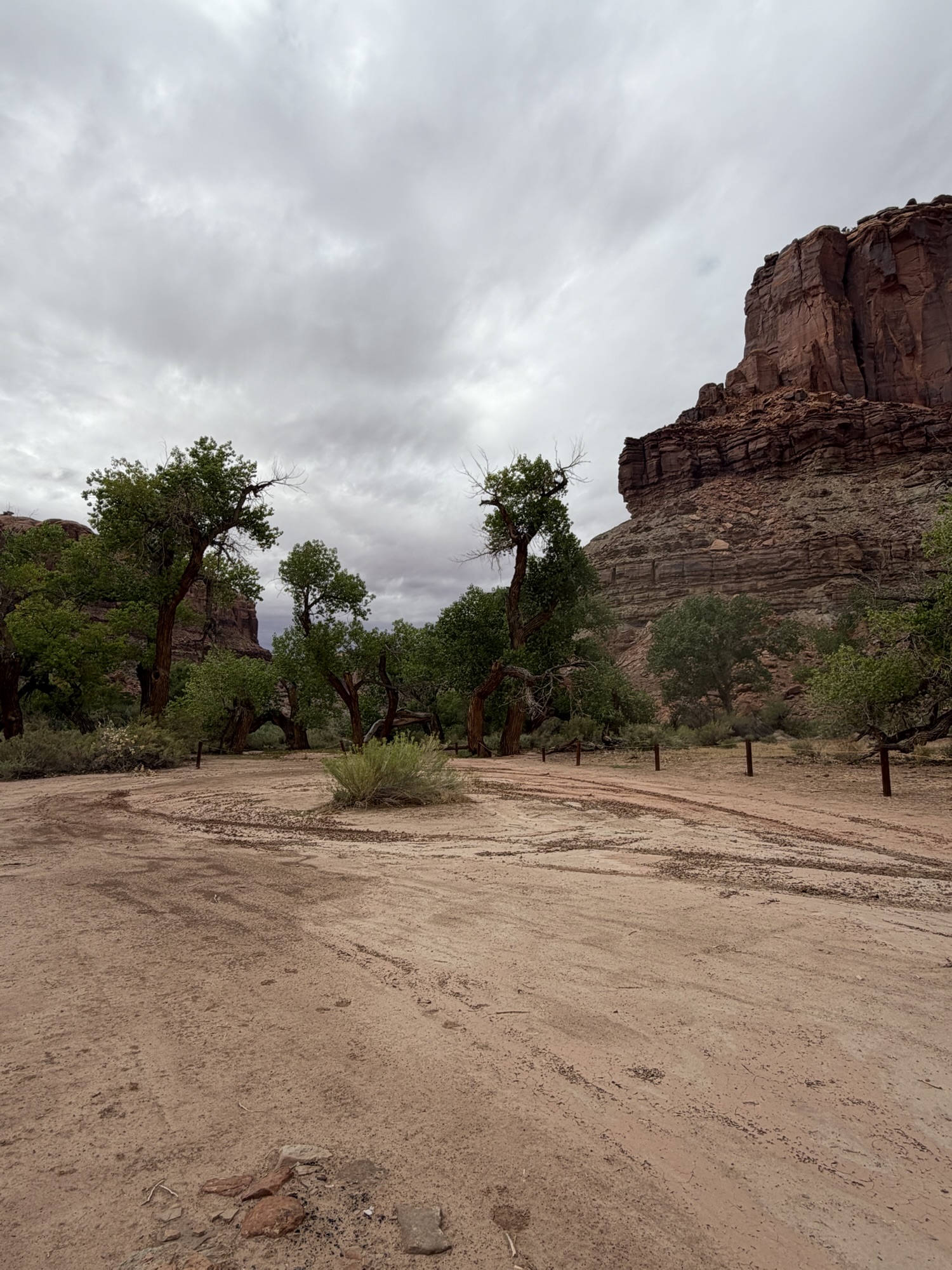A designated camping area at Spring Canyon Bottom, Moab, UT
