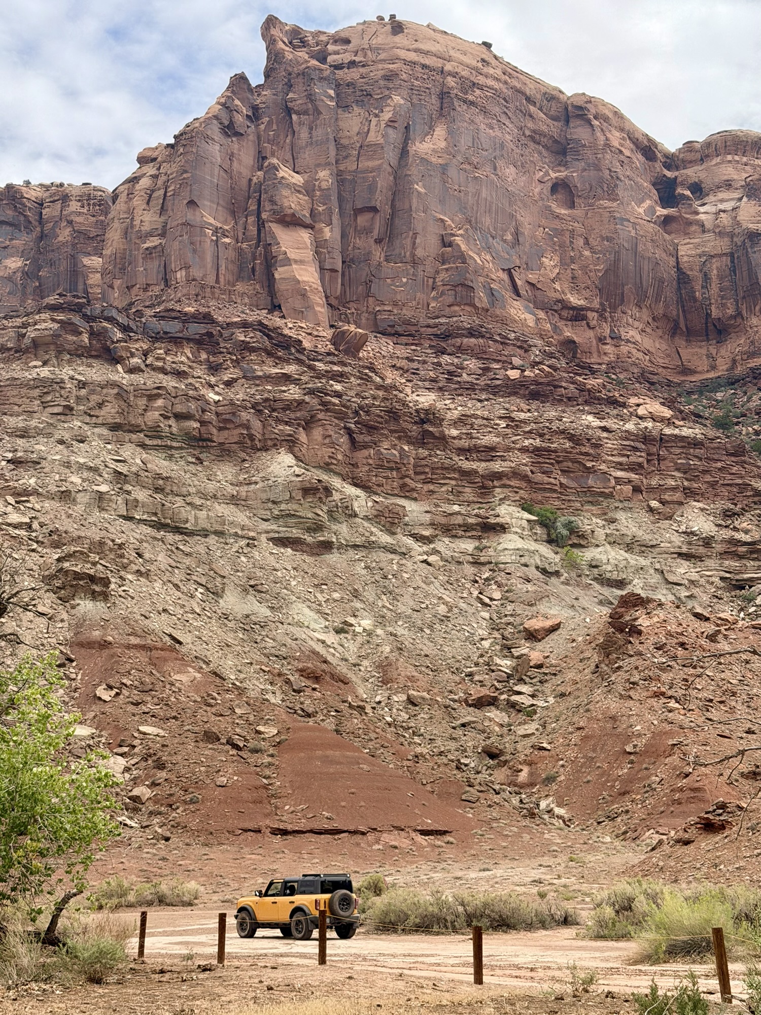 Cheeto sitting at the end of Spring Canyon Bottom Trail, Moab, UT