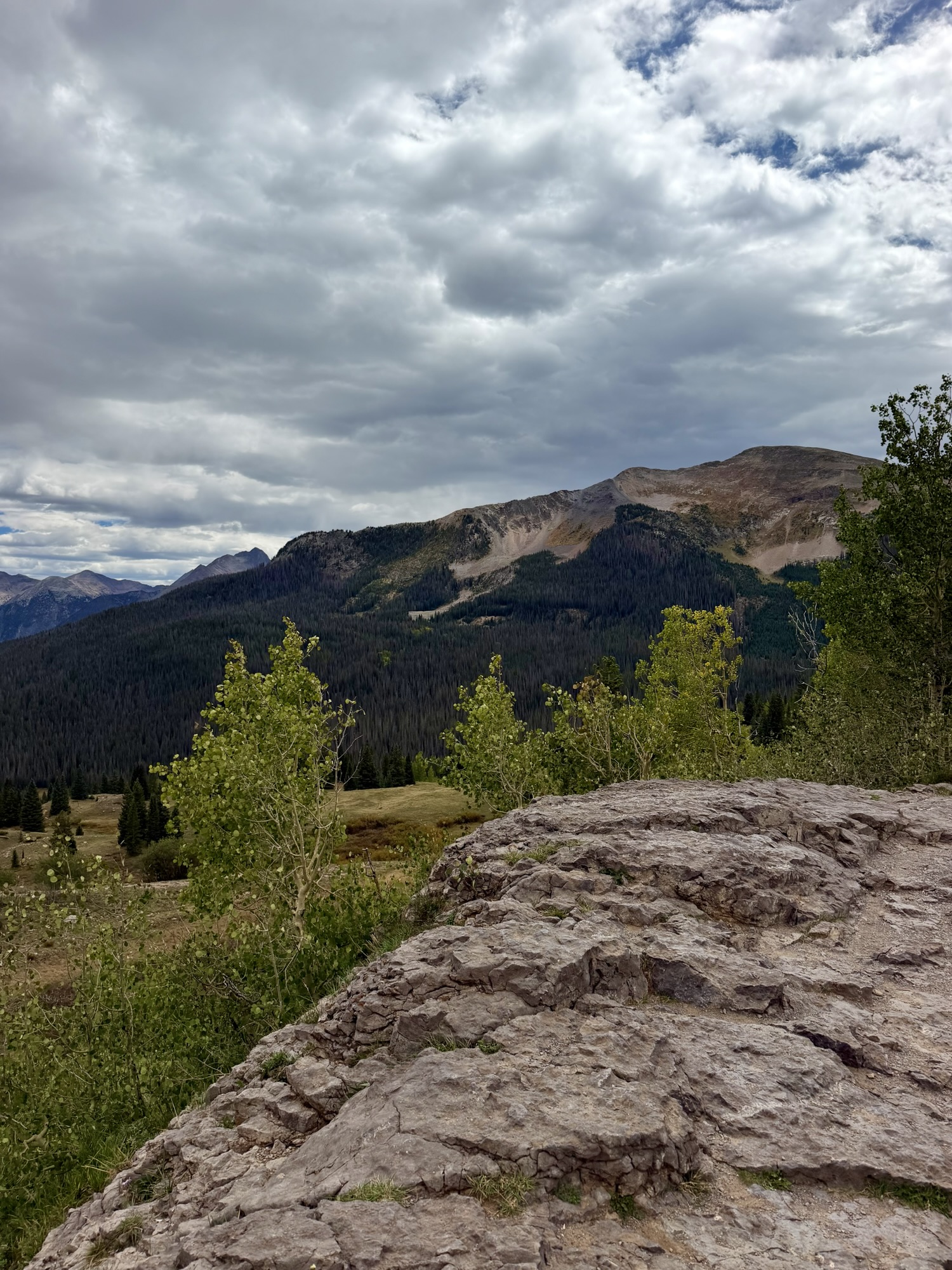 Views of Molas Pass