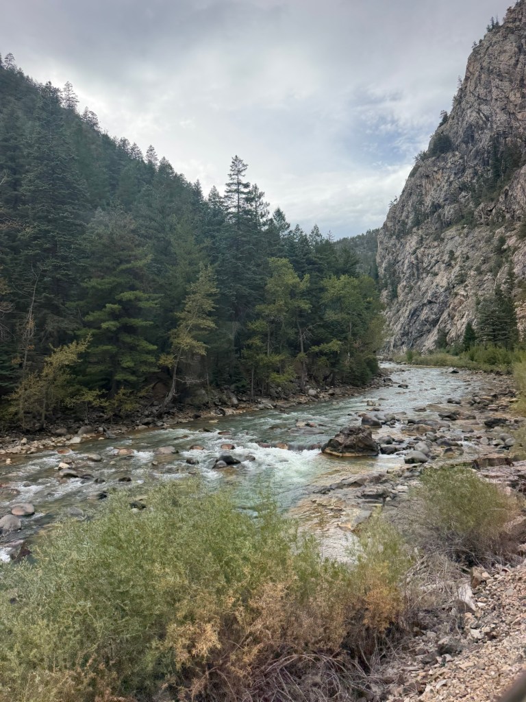 img_7088