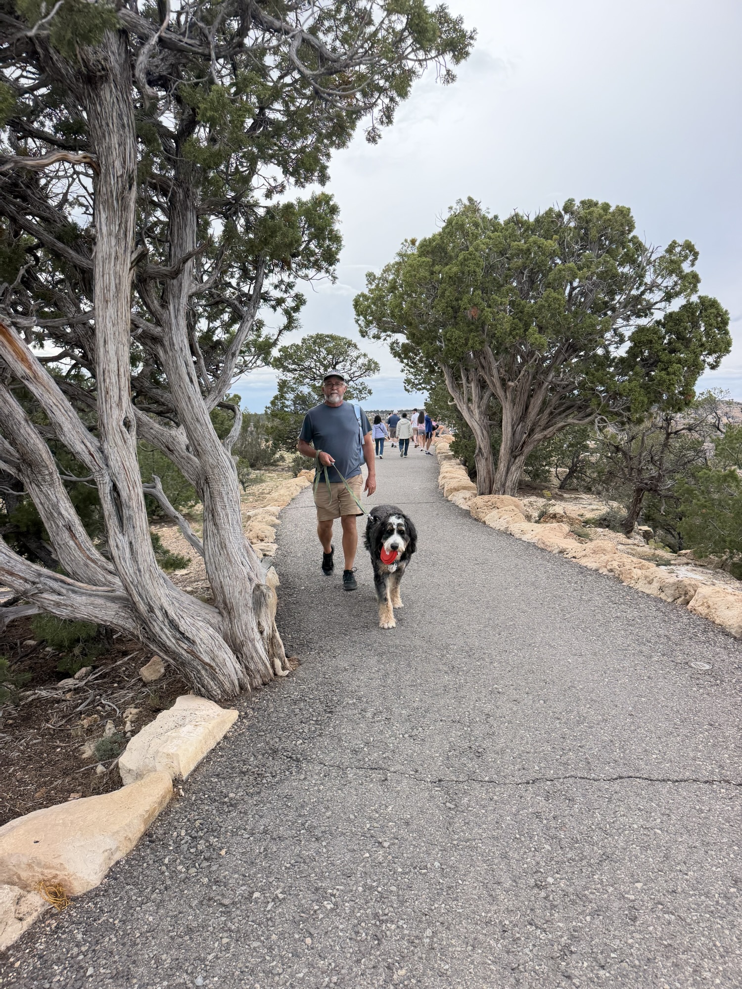 Timber had to carry his water bowl along the South Rim Trail, Grand Canyon&nbsp;NP