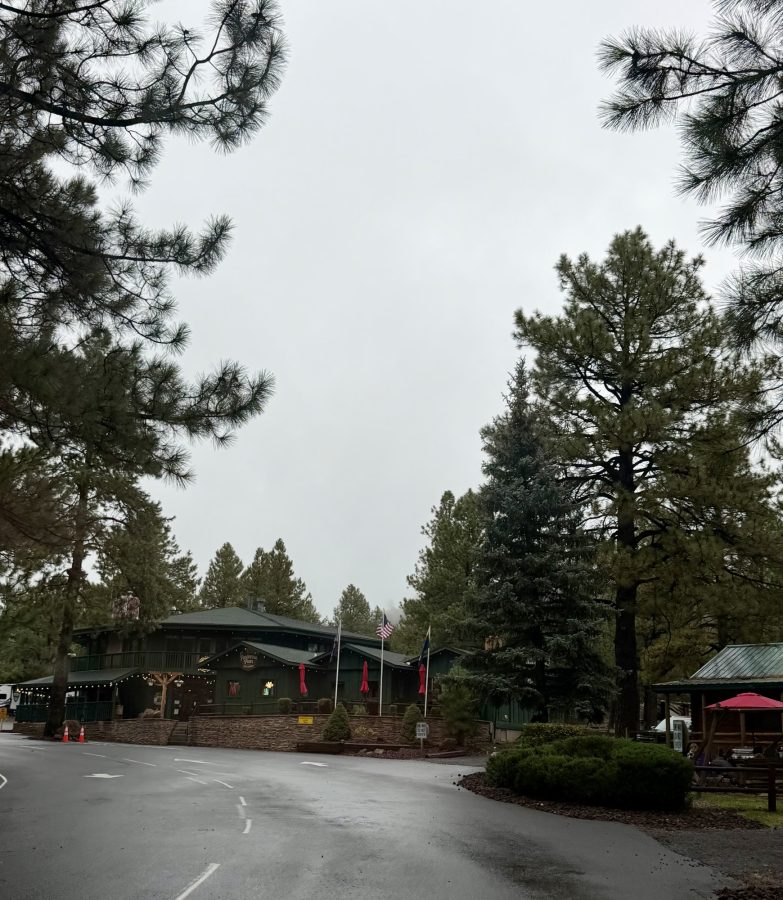 Check in at Williams / Circle Pines KOA in Williams, AZ