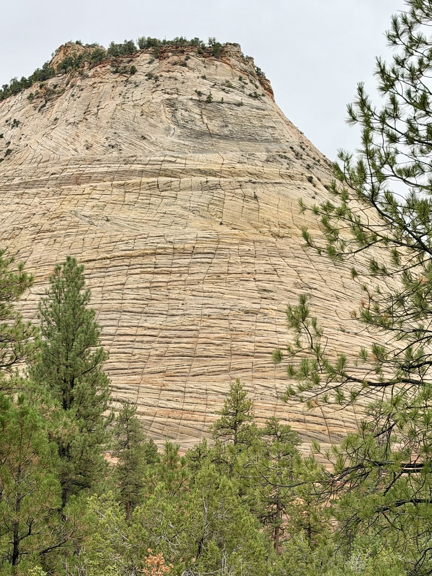 Checkerboard Mesa, Zion&nbsp;NP