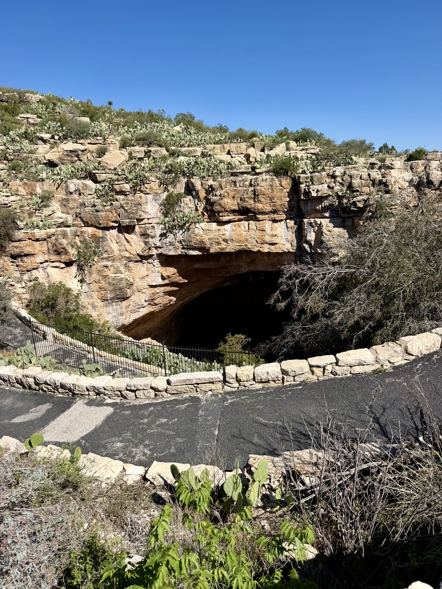 Entrance to Carlsbad Cavern